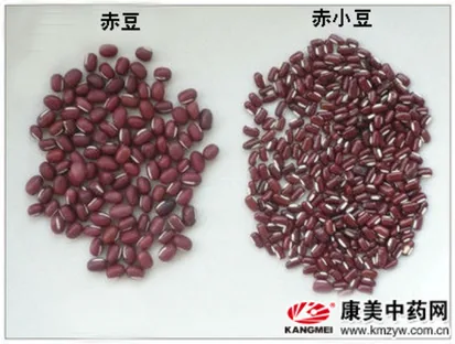穀物/碳酸/機能